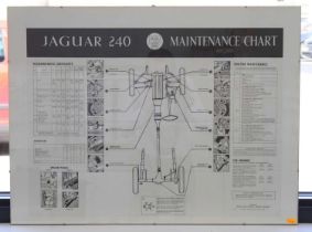 A Jaguar 240 maintenance chart, mounted under perspex, 52 x 69.5, together with a Jaguar 240