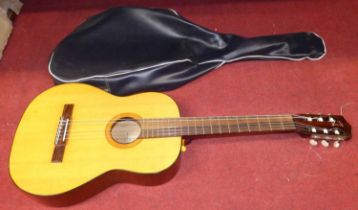 An acoustic guitar, with vinyl carry case