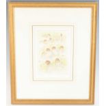 After Peter Partington (b.1941), a collection of six ornithological hand coloured etchings, each