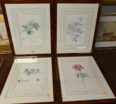 After FA Bauer (1758-1840) - set of four reproduction botanical prints
