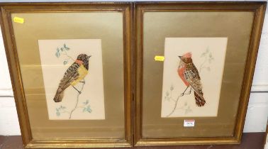 Early 20th century school mixed media with feathers and watercolour depicting birds upon a branch,