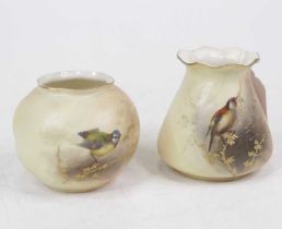 A Royal Worcester blush ivory vase, of squat circular form, hand-painted with a bluetit on a gilt
