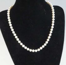 A single row of 60 cultured freshwater pearls strung knotted to an 18ct white gold satin finished