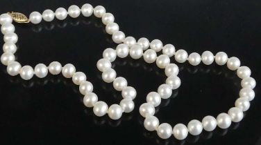 A single row of 59 cultured freshwater pearls strung knotted to a yellow metal navette shaped