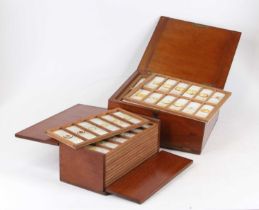 A 19th century mahogany box of rectangular form having a hinged lid and fall front, opening to