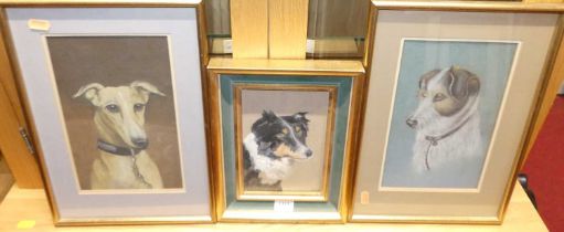 Mabel Pert - Pair; Dog study, pastels, 25 x 16cm; together with M.E. Fox - Dog study, oil, signed