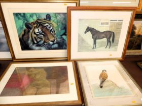 Pollyanna Pickering - Horse study, print; Deborah Thorpe - Peregrine falcon, watercolour; H Daniel -