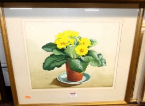 Christopher Ryland - Polyanthus in a chipped saucer, watercolour, signed and dated '96 lower