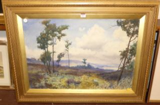 R.E. Clark - A Highland glen, watercolour, signed lower right, 50 x 75cm In excellent condition.