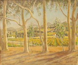 § Neville Lewis (1895-1972) - Trees and Vineyards near Lynedoch Stellenbosch, oil on canvas,