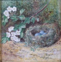 William Henry Hunt (1790-1864) - The birds' nest, watercolour, signed with monogram lower left, 12.5