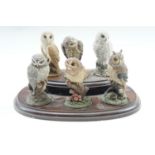 Six Royal Doulton owl figurines and stand, owls 8 cm high
