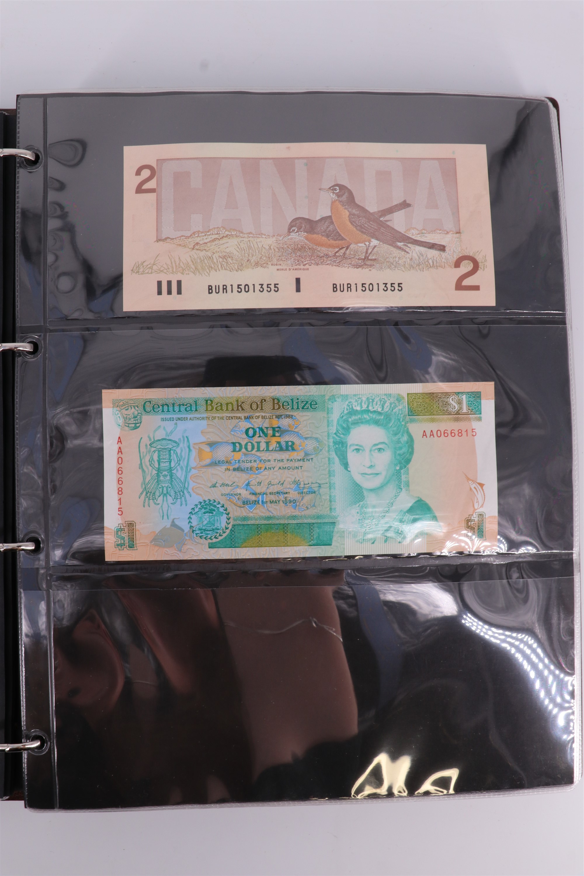 An album containing a collection of world banknotes, including Zaire (DR Congo), Ireland, - Image 14 of 87