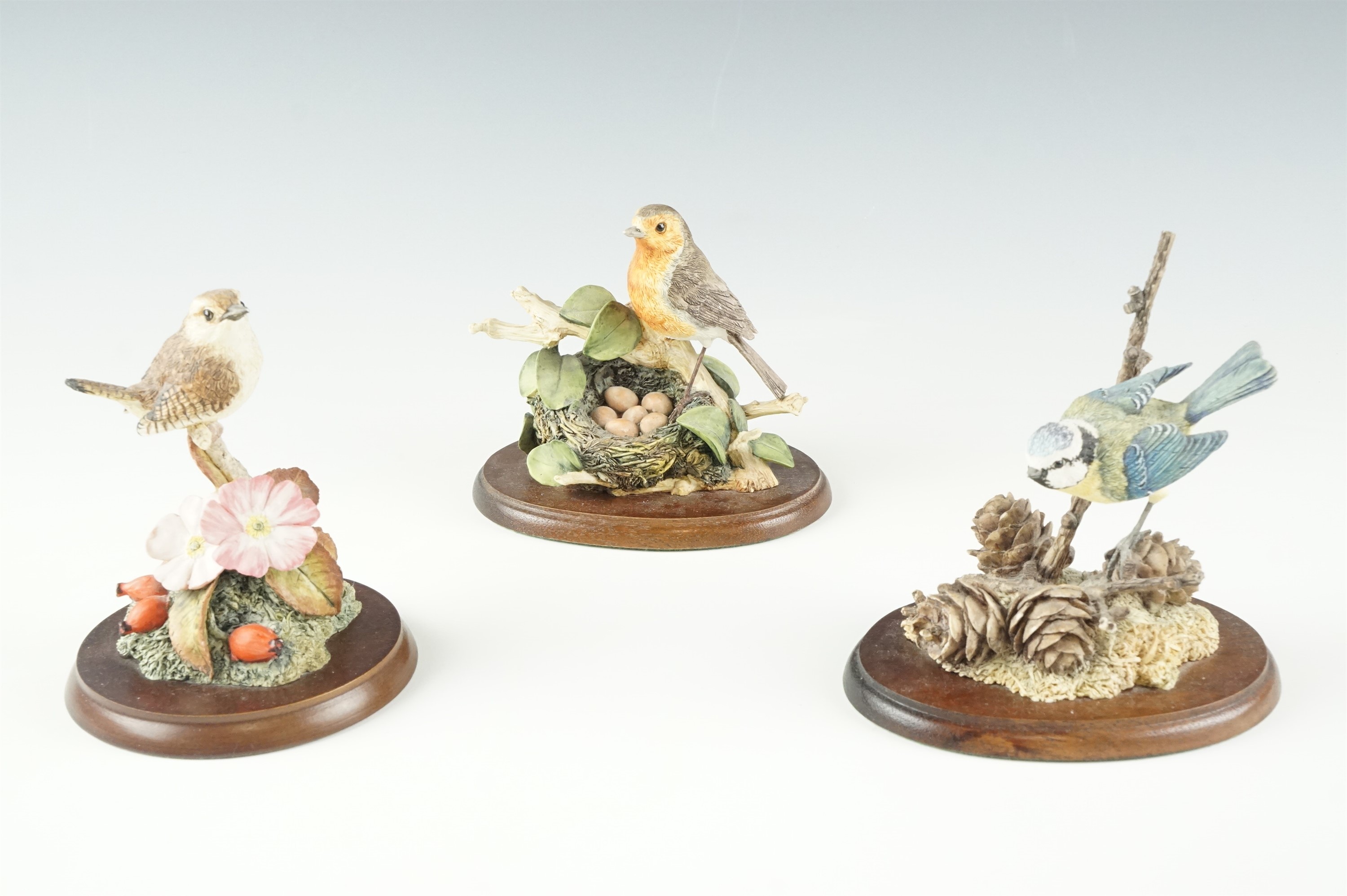 Three boxed Border Fine Arts figurines, comprising "Wren and Wild Rose", "Robin With Nest" and "