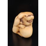 An Edo Japanese antler netsuke in the form of a shishi and tama / ball, 33 mm