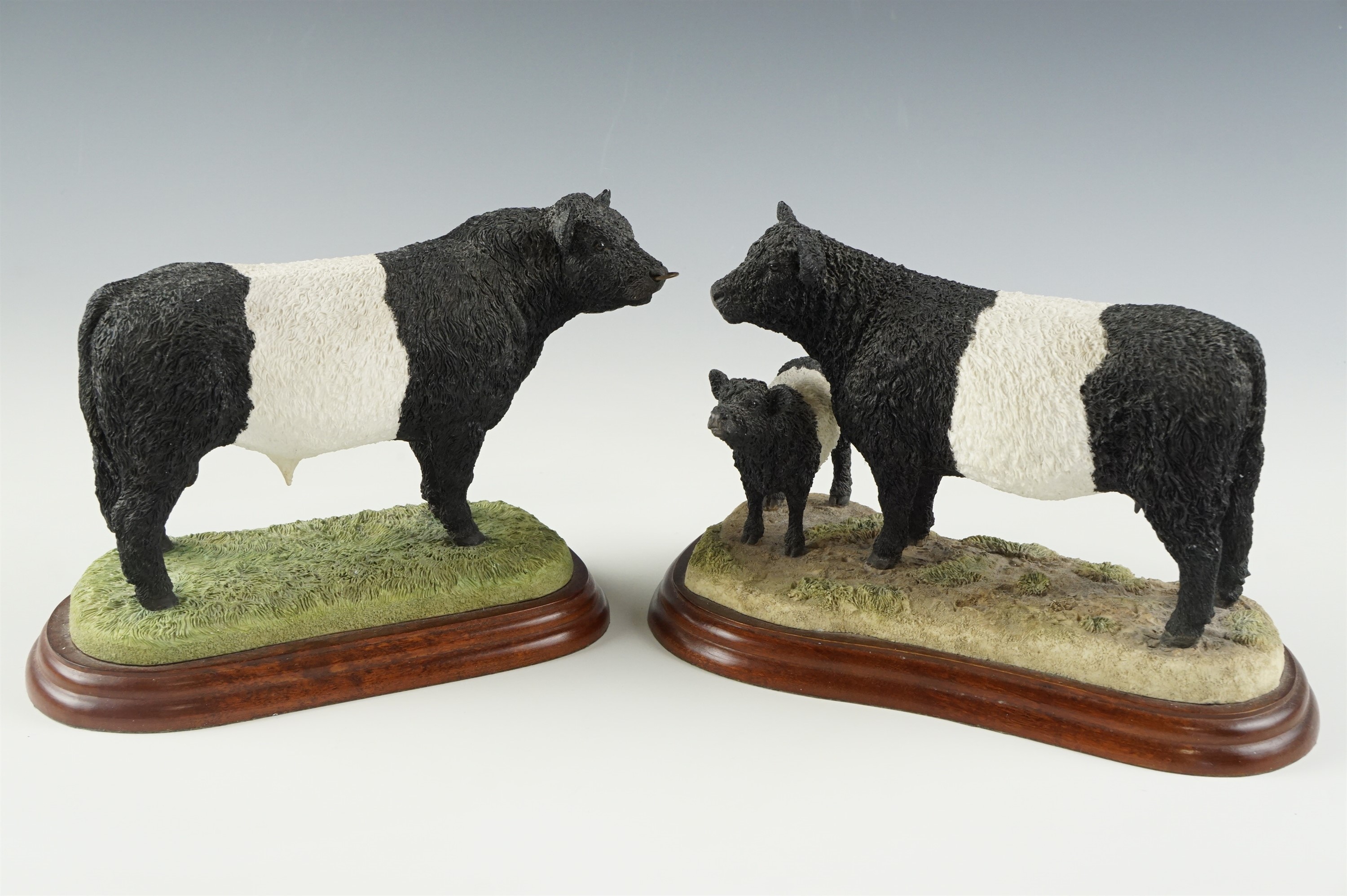 Two Border Fine Arts figurines, Belted Galloway Bull, boxed together with Cow and Calf, boxed