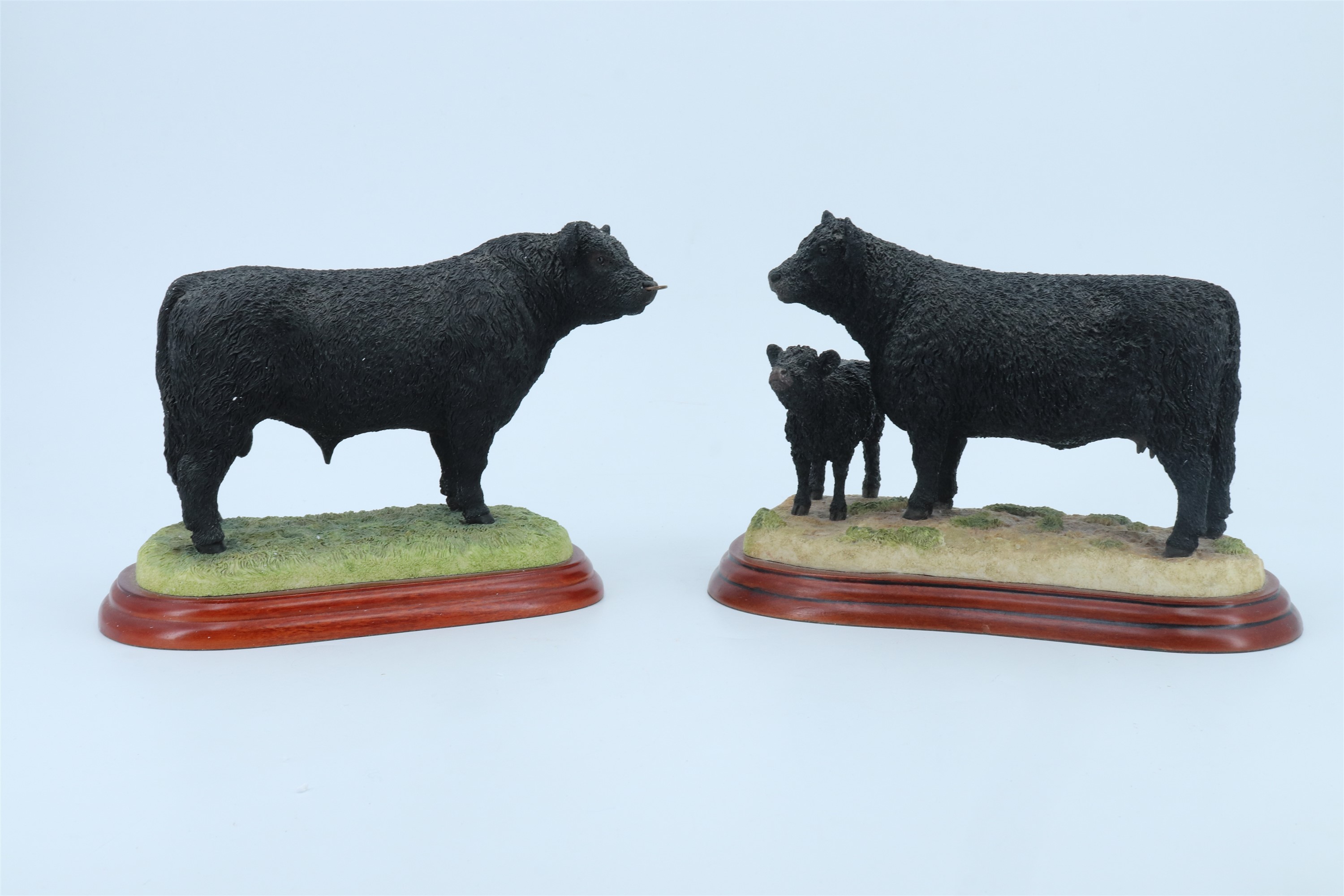 Two Border Fine Arts figurines: Galloway Bull and Galloway Cow and Calf