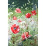 Joy Brand (20th Century) "Poppies in a field", a vibrant, energetic depiction of poppies in the