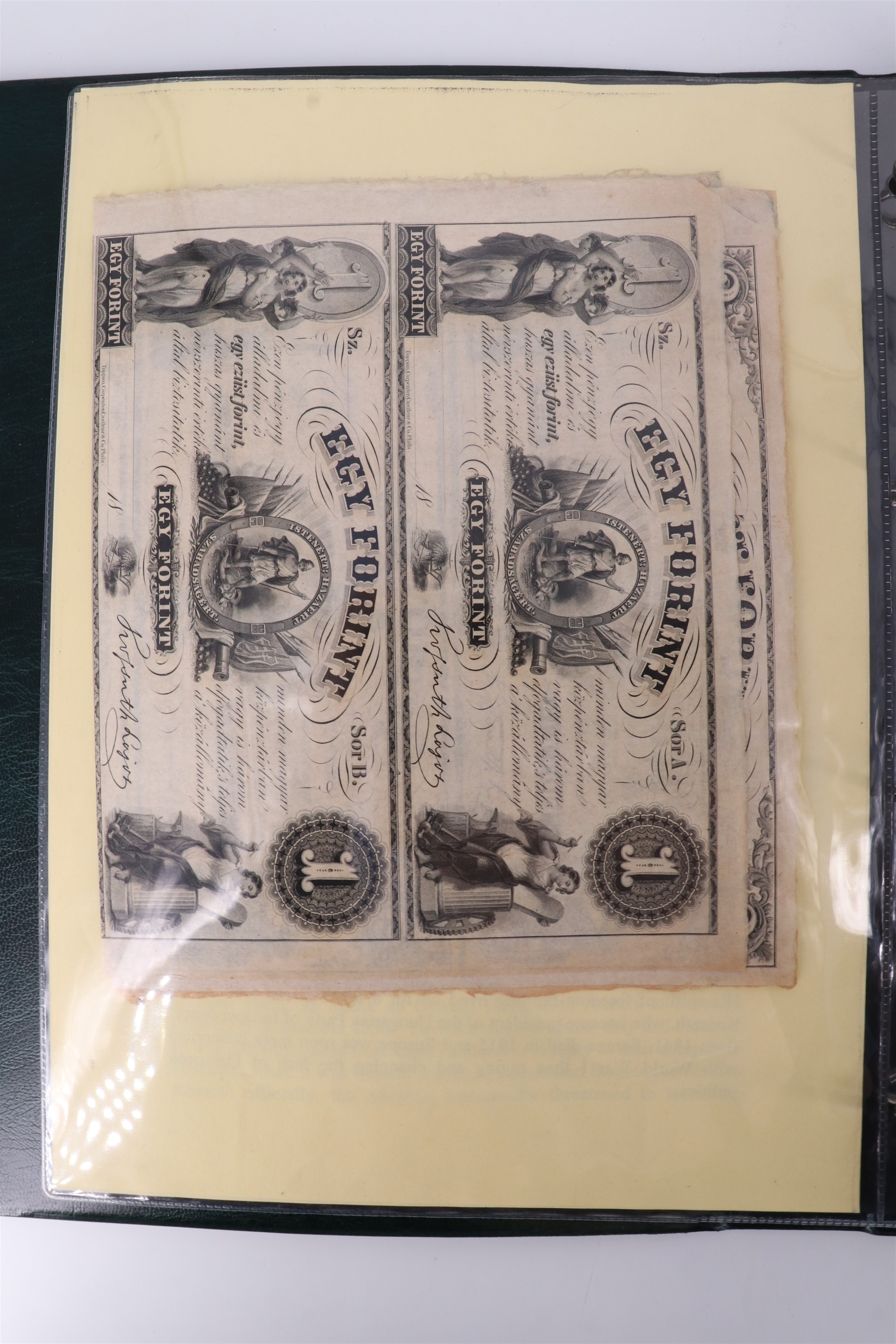 Two albums containing a collection of world banknotes, including German Notgeld, USA, Russia, New - Image 34 of 55