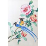A late 20th Century Chinese watercolour on silk depicting two wrens perched on a branch amongst