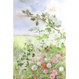 Elizabeth Walsh (Carlisle, Contemporary) A study of meadow flora alive with insects, watercolour,