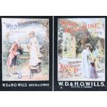 A WD & HO Wills advertising print for "Wild Woodbine" cigarettes, in ebonised frame under glass,