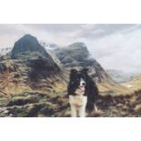 Steven Townsend (Contemporary) A study of a Border Collie set against towering fells, limited
