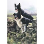 Steven Townsend (Contemporary) "Rarin' To Go", a study of two Border Collies poised atop a dry stone