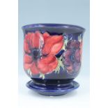 A Walter Moorcroft signed Poppy pattern cachepot, together with a small Anemone pattern dish, former
