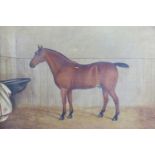 William Brown (1856 - 1940) "Diamond King", a study of the thoroughbred horse standing square in a