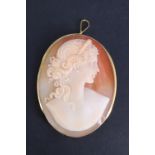 A vintage shell cameo brooch / pendant, having a visage of a young lady, set in an 18 ct yellow