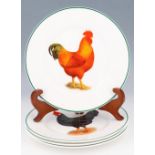 A set of four late 20th Century plates decorated in depiction of poultry, 21 cm