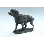 An early 20th Century cold painted bronze figure of a retriever dog, standing alertly, 12.5 cm high