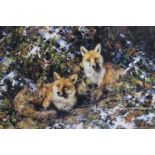 After David Shepherd OBE (Contemporary) "Winter Foxes", a vibrant, abstract study of two foxes