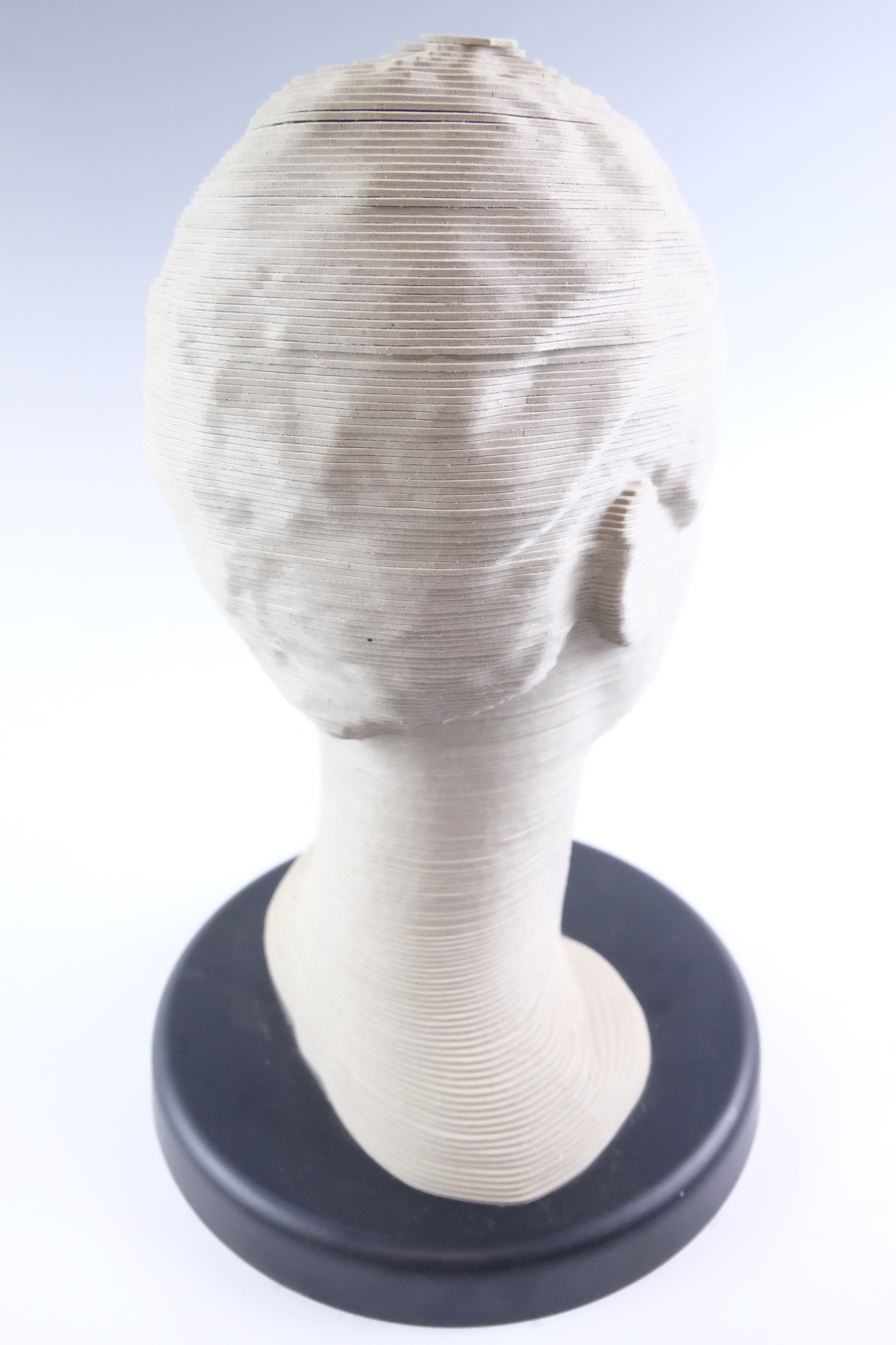 A life-sized female bust modelled using lamellae of profiled card, 37 cm - Image 3 of 3