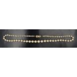 A single-strand necklace of graduated pearls, having a pearl-set 9 ct gold clasp, largest pearl 7