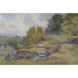 Arthur Netherwood (1864 - 1930) A painterly, late summer elevated view looking over woodland crags