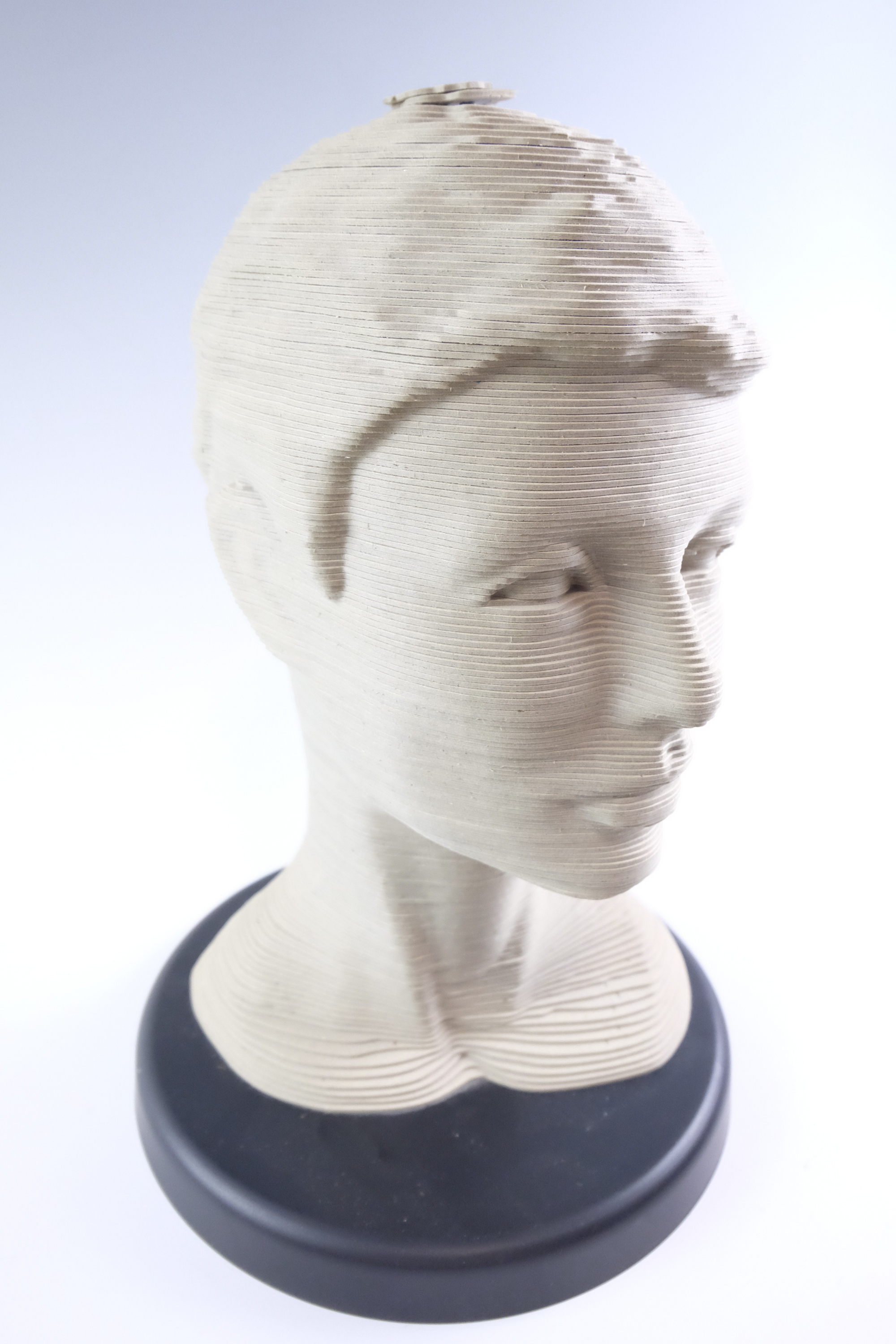 A life-sized female bust modelled using lamellae of profiled card, 37 cm - Image 2 of 3