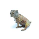 A cold painted bronze figure of a sitting pug dog, bearing an applied plaque 'Geschutz 8412' and the
