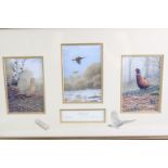 After W Geoff Rollinson (Contemporary) "Pheasants", three studies of game birds, limited edition