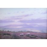 Robert Ritchie (contemporary) "Heather on Hepsburn Moor, Cheviot Hills", a soft, delicate, landscape