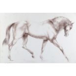 John Rattenbury Skeaping (1901 - 1980) A equestrian study of a horse, soft pastel, signed and