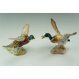 Two Beswick figurines of a mallard and a pheasant, respectively 749 and 849, 17 cm