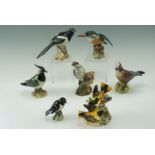 Seven Beswick bird figurines, including Jay 2417, Kingfisher 2371, Stonechat 2274, etc, tallest 13