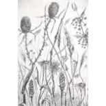 Steve Freear A late 20th Century study of riverbank flora and fungi, drypoint etching, pencil signed