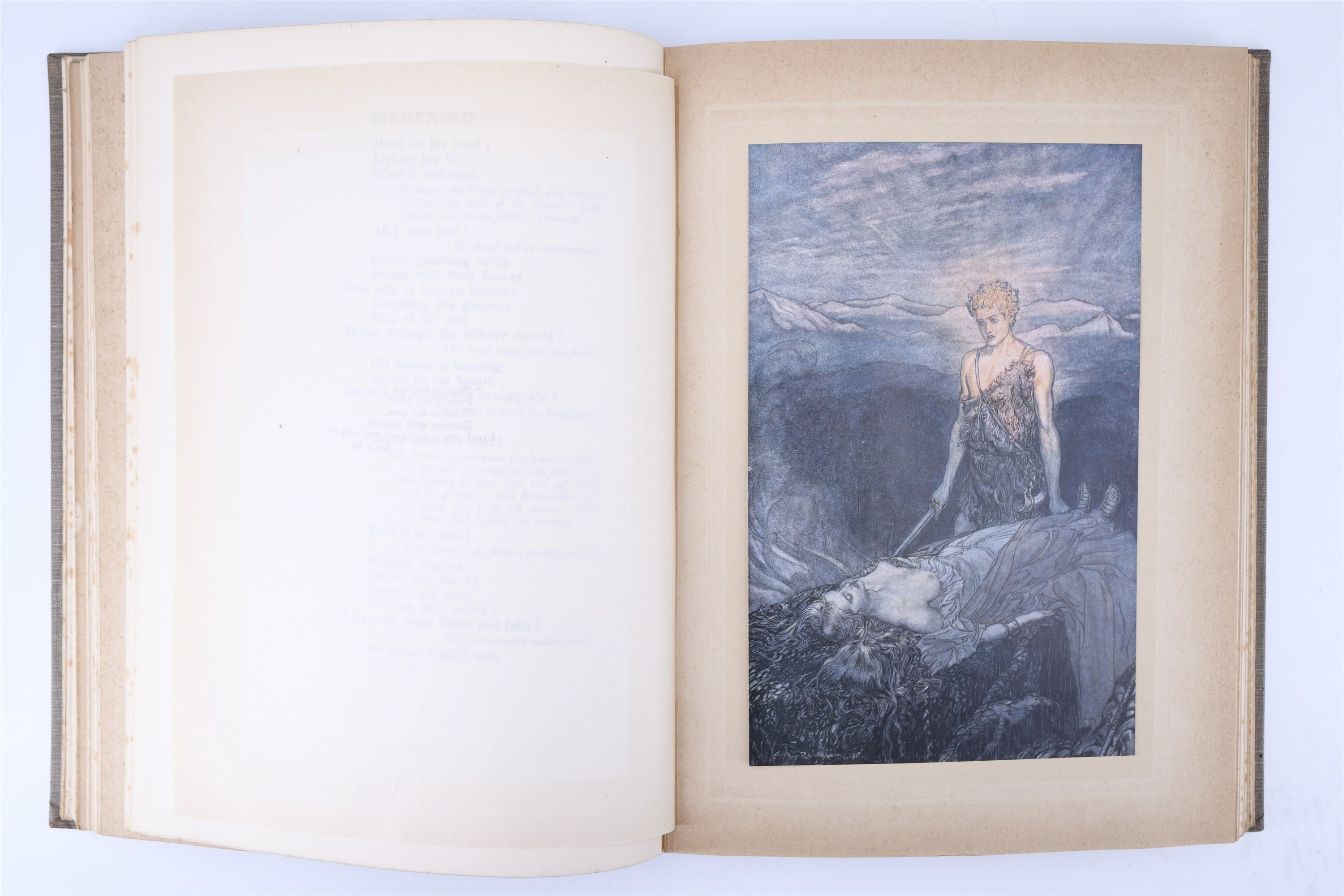 Siegfried & The Twilight of the Gods illustrated by Arthur Rackham, Heinemann, 1924 - Image 7 of 7