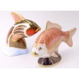 Two Royal Crown Derby paperweights, comprising Tropical Fish and Carp, tallest 13 cm, (Carp