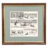 After John Charles Dollman (1851 - 1934) "Sheep Dog Trials at the Alexandra Palace", print, late
