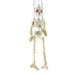 A large boxed 1950s Pelham Puppet Skeleton, with original instructions, 50 cm excluding t-bar and