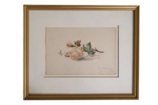 A late 19th Century German sentimental watercolour of a cut wild rose, with memorial inscription,